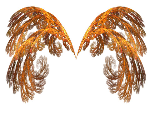 Golden wings