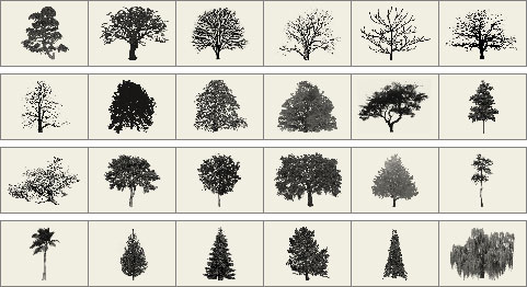 Tree brushes preview
