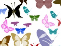 Butterfly brushes for Photoshop
