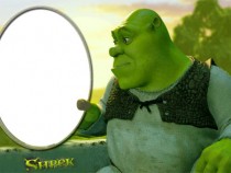 Shrek photo frame