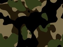 Army camo brushes
